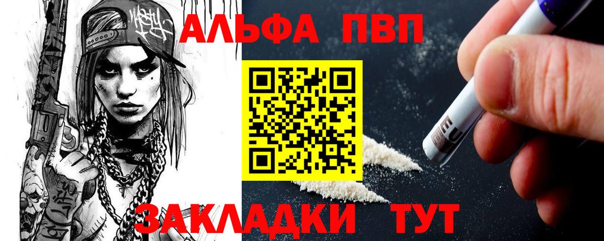Альфа ПВП СК КРИС Моздок