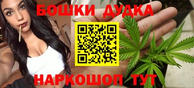 крисы Дубна
